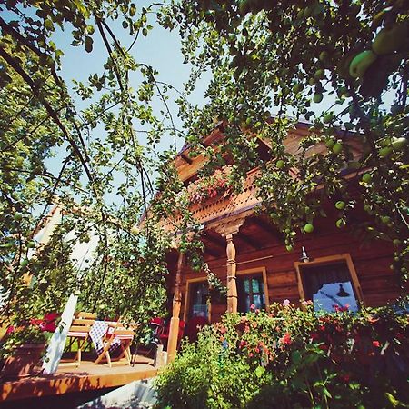 Mietowy Aniol Vila Ustrzyki Dolne Exterior foto