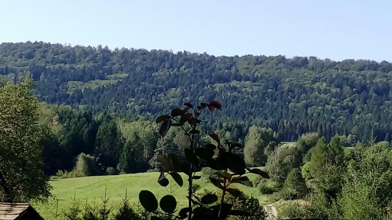 Mietowy Aniol Vila Ustrzyki Dolne Exterior foto