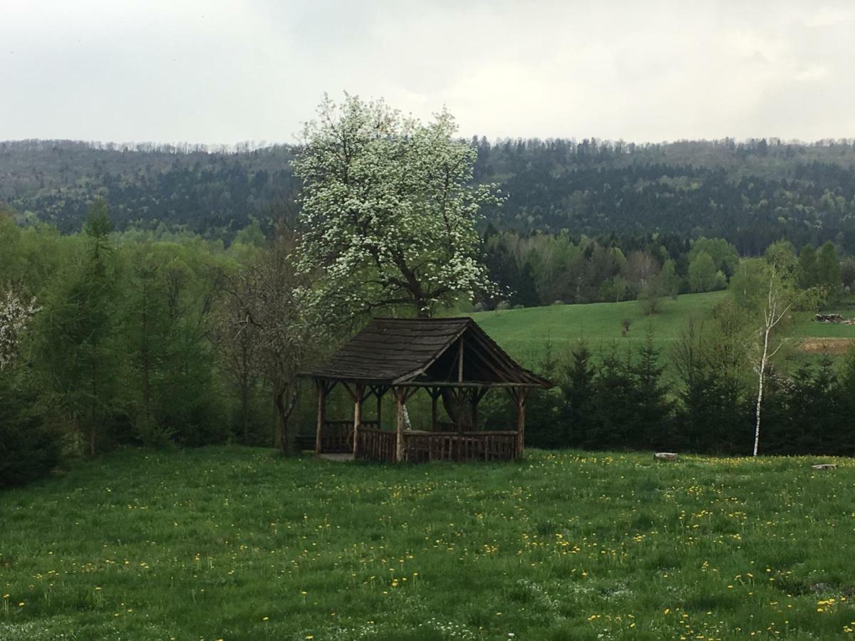 Mietowy Aniol Vila Ustrzyki Dolne Exterior foto