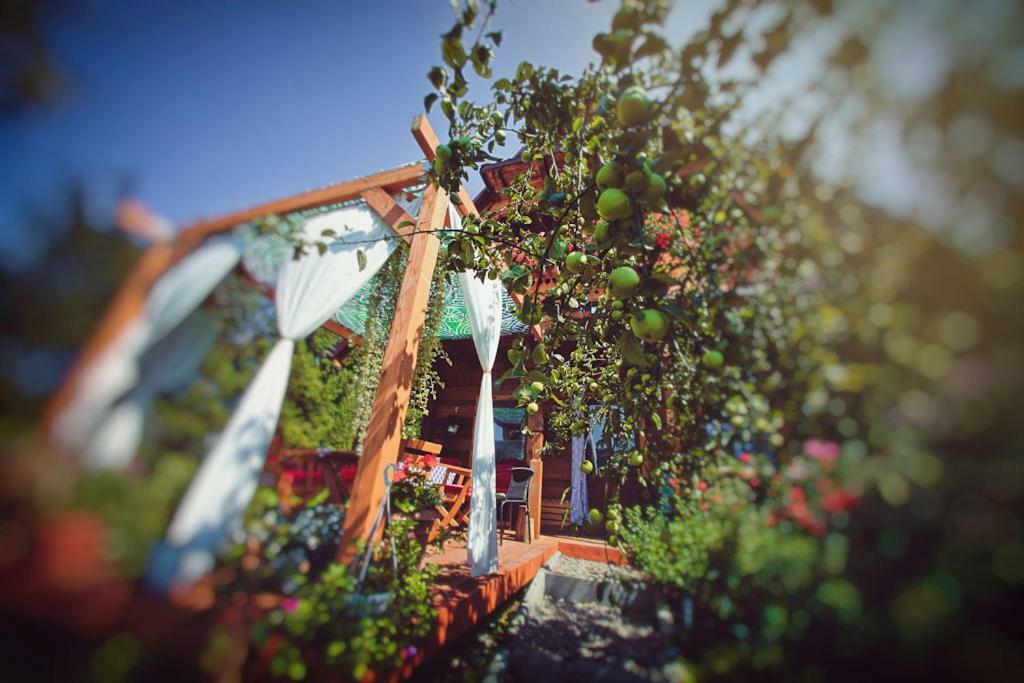 Mietowy Aniol Vila Ustrzyki Dolne Exterior foto