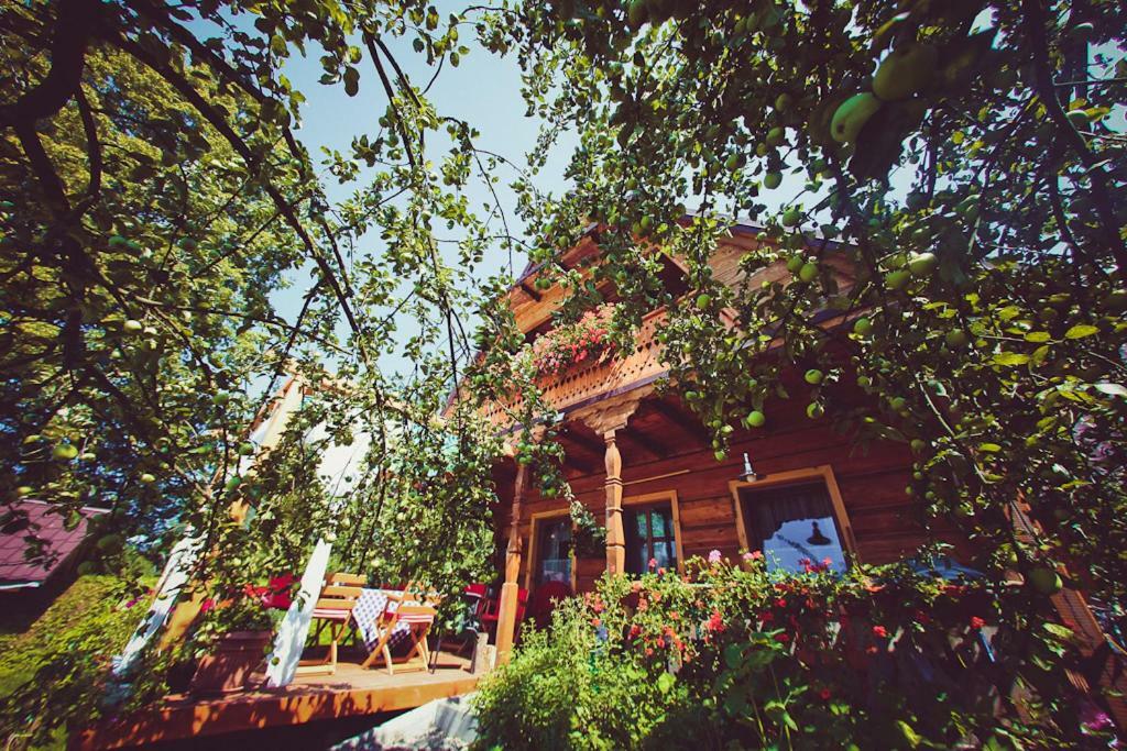 Mietowy Aniol Vila Ustrzyki Dolne Exterior foto